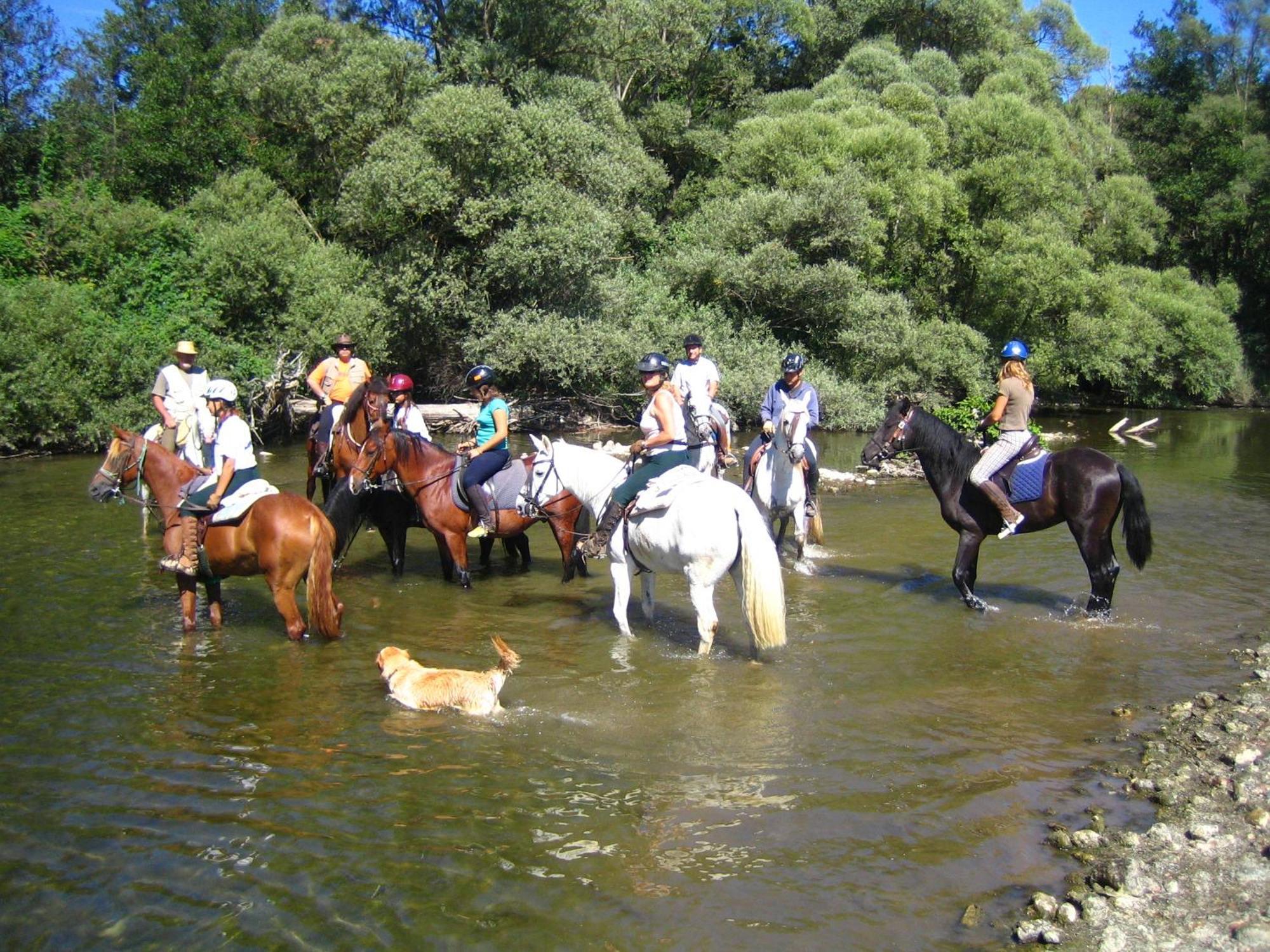 Els Torrents Hotel Bellver De Cerdanya Bagian luar foto